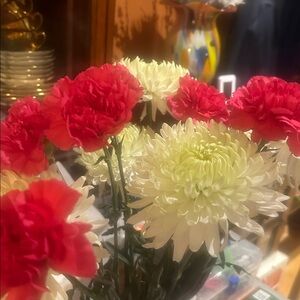 Meet your Posher, Larisa